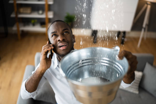 Best Flood damage cleanup  in Maeser, UT