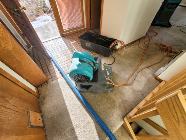  Maeser, UT Water damage restoration Pros