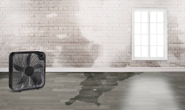 Best Water damage restoration near me  in Maeser, UT