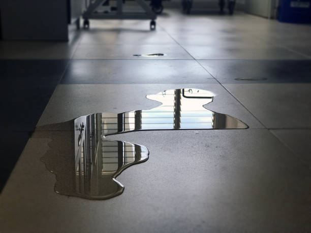 Best 24-hour water damage restoration  in Maeser, UT