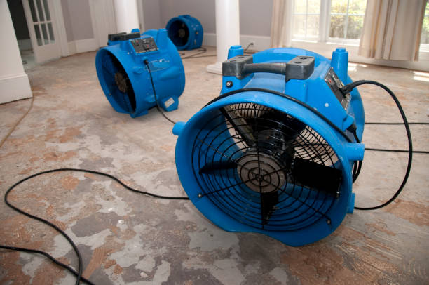 Best Mold removal after water damage  in Maeser, UT