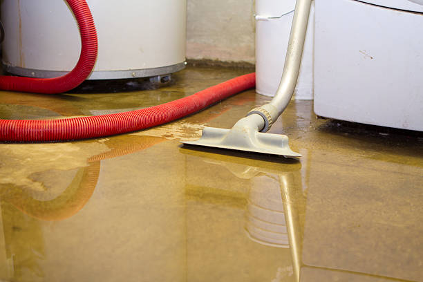 Best Water damage restoration near me  in Maeser, UT
