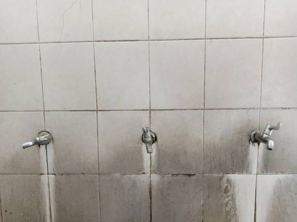 Best Basement water damage restoration  in Maeser, UT