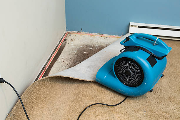 Best Commercial water damage restoration  in Maeser, UT