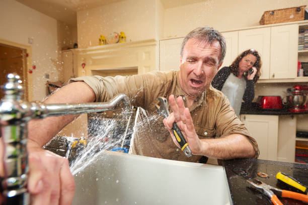 Best Flooded house restoration  in Maeser, UT